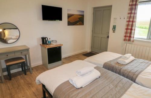 Cowbridge Casa | Oak