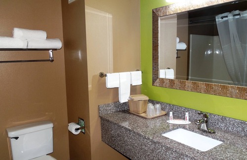 Claxton Hotel | Oak Tree Inn & Suites