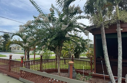 Fedhaven Casa | Oaks And Palm Resort Lake Wales, Florida by Lake Kissimmee