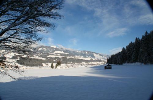 Hollersbach im Pinzgau Apartamento | Oase der Ruhe