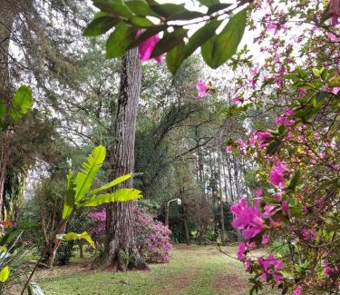 Zona Granja Cama Y Desayuno | Oasis Bed and Breakfast