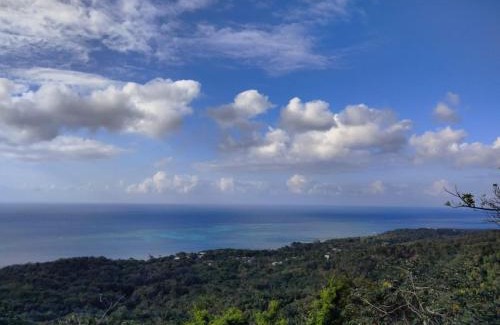 Roatan Apartamento | Oasis by Tres Flores