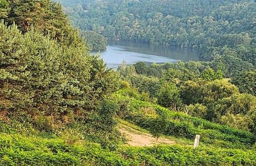 La Salvetat-sur-Agout Chalet De Esquí | Oasis de détente à la montagne accès lac 5 minutes