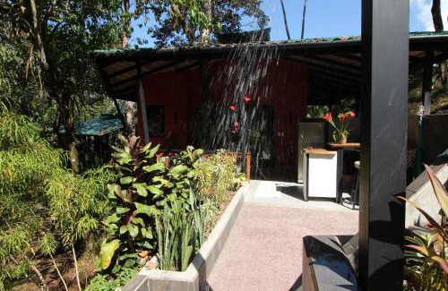 Ojochal Hotel | Oasis de las Palmas