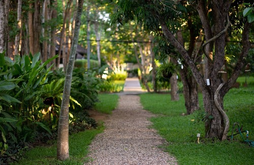 Nong Kwai Complejo | Oasis en la selva en Chiang Mai Tailandia.