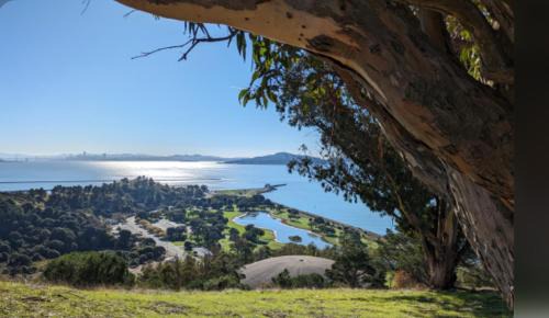 Point Richmond Apartamento | Oasis Point