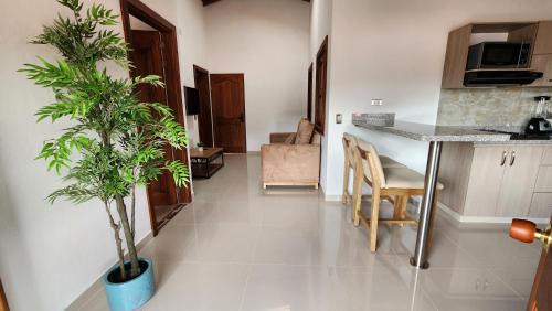 Jardin Apartamento | OCASSO JARDIN APARTAMENTO COLIBRÍ