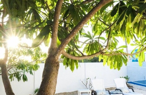 Pos Chiquito Apartamento | Ocean Front Property - Villa 3 Aruba with Hot Tub