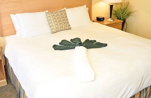 Virginia Beach Complejo | Ocean Key Resort