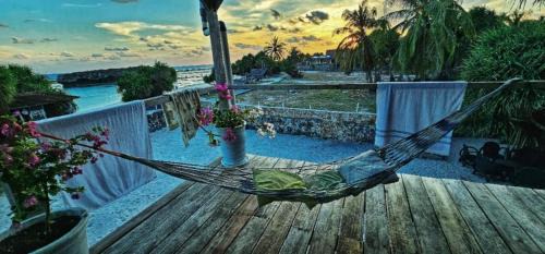 Rote Island Villa | Ocean Park