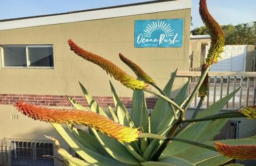 Zinkwazi Beach Apartamento | Ocean rush Seagull