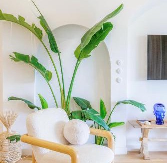 Porto de Mos Apartamento | Ocean Studio by ENDLESS SUN I modern comfort, sea view, wi-fi, parking & rooftop pool
