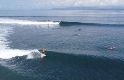 Pavones Casa | Ocean View & Great Waves - Infinity Jungle Lounge