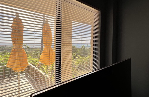 Capital Hill Apartamento | Ocean View Capitol Hill Studio with Sunset Deck