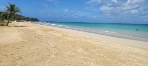 Corn Island Apartamento | Ocean View