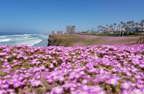 Popotla Apartamento | Ocean View Rosarito WorldMark Resort Condo