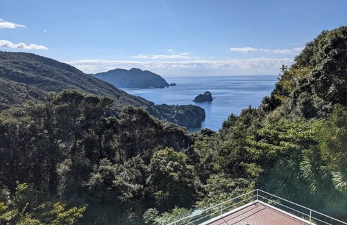 Ihama Cabaña | Ocean view Villa room with terrace pets allowed / Kamo-gun Shizuoka