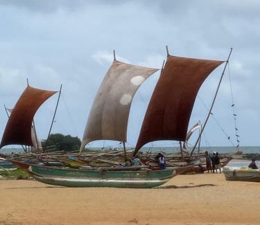 Negombo Apartamento | Oceana Luxe