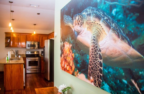 Antoneys Cay Casa | Frente a la playa! Buceo, Snokeling y Kayak en el sitio. ¡2 lujosas habitaciones maestras!