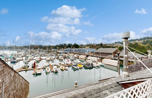 Historic Bayfront Apartamento | Oceanfront studio - harbor views, shared sauna & dog-friendly
