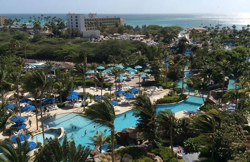 Palm Beach Complejo | Oceanfront - Studio - Marriott's Aruba Surf Club - Full Resort Access