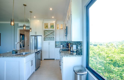 Placentia Condominio | Oceanfront Sunset Gecko Condo - Ground Floor 1A