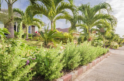Mammee Bay Villa | Ocho Rios Villas at Coolshade II
