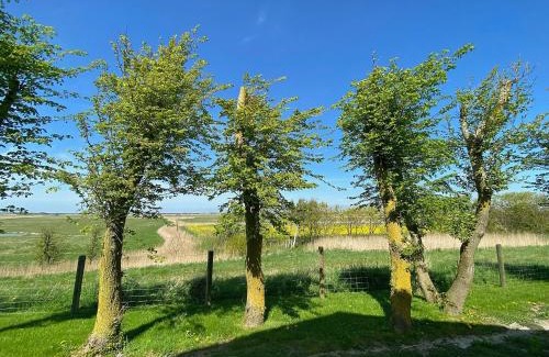 Nordstrand Apartamento | Ockenswarft - Ferienwohnung Seehund