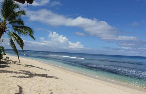 Nalauwaki Complejo | Octopus Resort