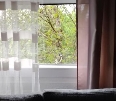 Pluzine Casa | ODMOR PRESEKA - REST HOUSE PRESEKA