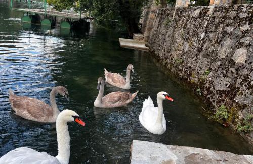Trebinje Apartamento | Odmor uz Trebišnjicu