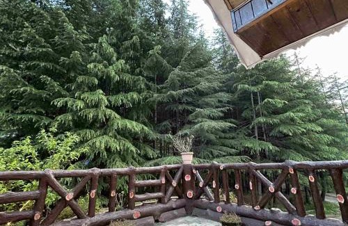 Kasol Casa | Odyssey Stays Kasol - Tree House, Cottage & Swiss Tents