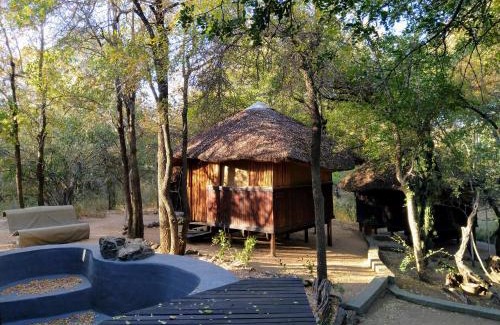 Hoedspruit Cabina | Off Beat Safaris Bush Lodge