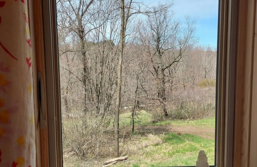 Soldiers Grove Cabina | Off-grid Cabin in the Heart of the Driftless