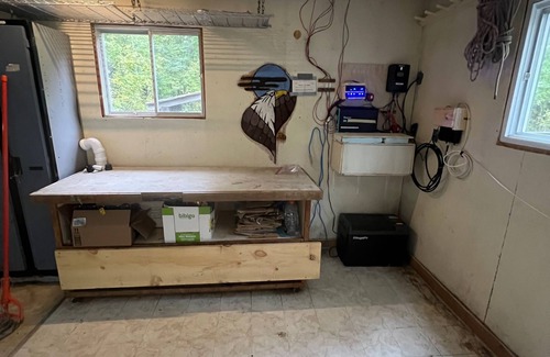 Unorganized North East Parry Sound Cabina | Off-Grid Forest Cabin on Beautiful Lake in Almaguin Highlands