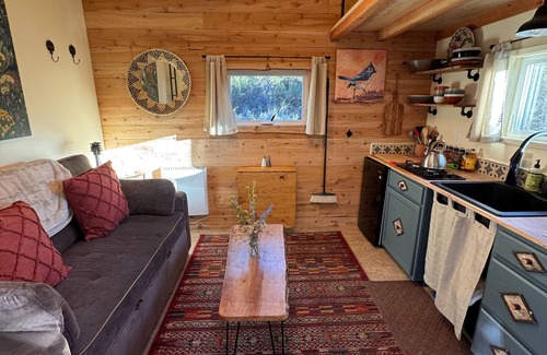 Warner Springs Cabina | Off Grid Petfriendly sanctuary surrounded by ancient oaks with fenced yard.