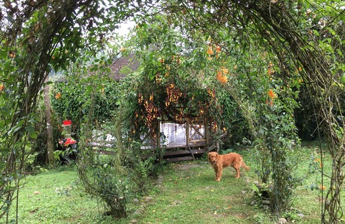 Mindo Casa | Casa de campo solar fuera de la red con piscina natural y sauna en el campo de Mindo