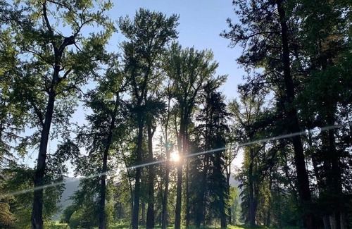 Beaverdell Alquiler De RV | Off The Grid R&R On The Kettle Valley River