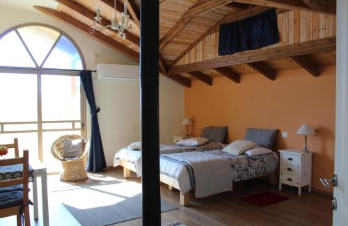 Artists Colony Casa | Off The Square