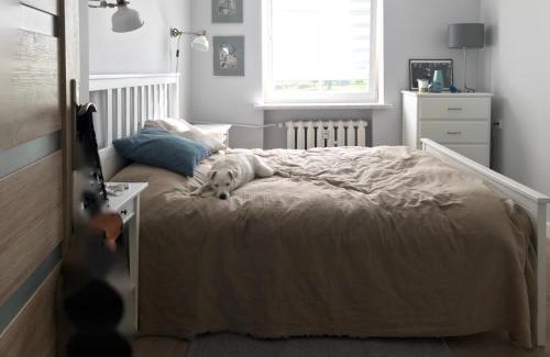 Zabor Apartamento | Oficyna Winiarza
