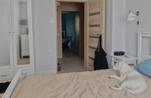 Zabor Apartamento | Oficyna Winiarza