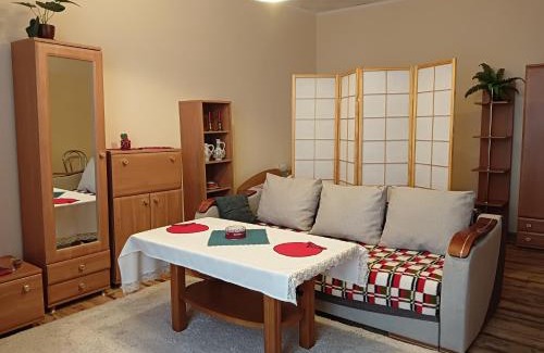 Strzelce Opolskie Apartamento | Oficynka