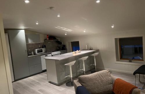 Birkenes Apartamento | Oggevatn