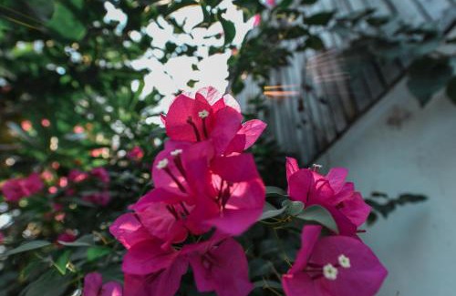 Svay Pao Hotel | Oh Battambang Boutique Hotel