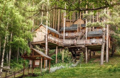 Besqaynar Complejo | Oi-Qaragai Mountain Resort