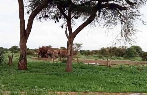 Kajiado Cabaña | Oilepo Amboseli - Luxury Tents