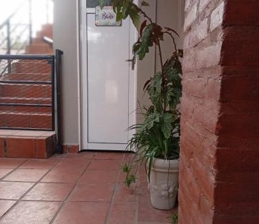 Colón Apartamento | Ojalá Chill Aparts