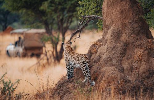 Otjozondjupa Region Chalet De Esquí | Okonjima Luxury Bush Camp