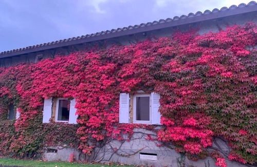Saint-Romain-de-Popey Casa | Old Beaujolais farmhouse