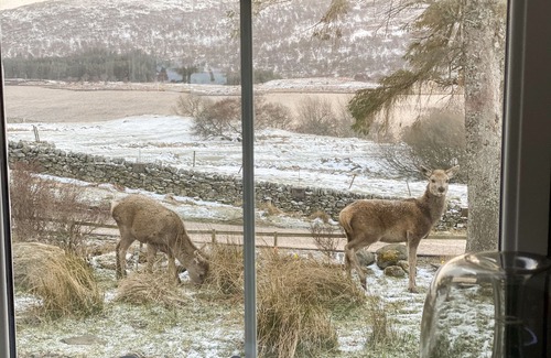 Lairg Cabaña | Old Grumbeg Cottage, BETTYHILL